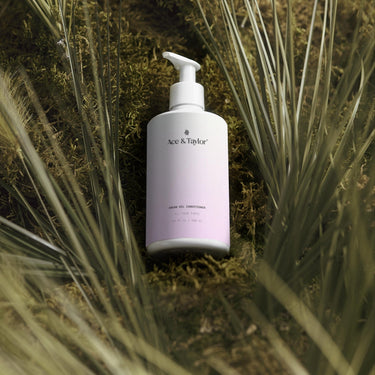 Argan Conditioner - Sulfaatvrij & Parabeenvrij 300 ml - Ace & TaylorArgan Conditioner - Sulfaatvrij & Parabeenvrij 300 mlConditionersAce & TaylorAce & Taylor